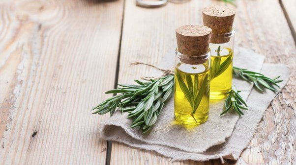 How To Get Rid Of Scabies With Tea Tree Oil?