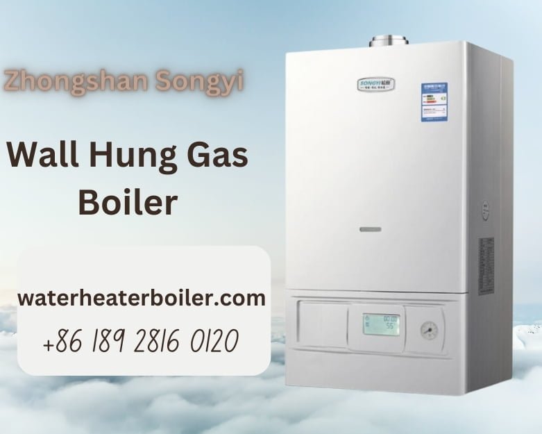 Gas Water Heater