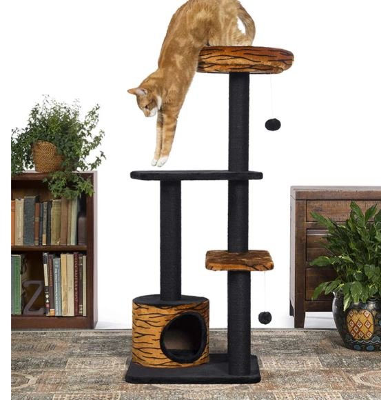 Cat Trees for Large Cats: Providing Comfort, Enrichment, and Vertical Space
