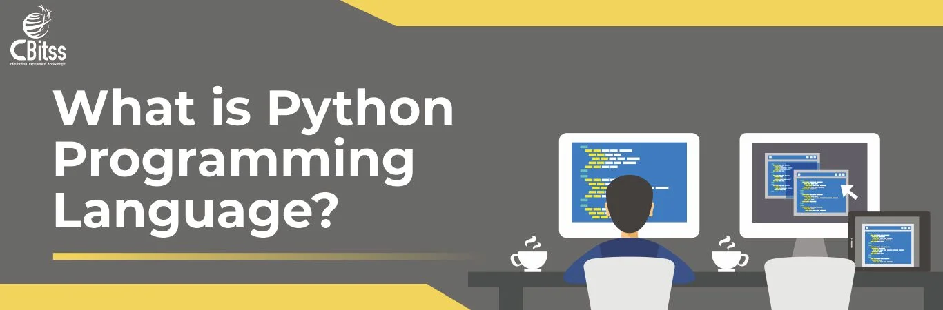 What is Python used for?