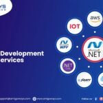 Top Dot Net Development Services In India – Amigoways