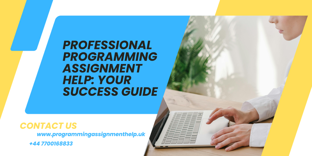 Programming Assignment Help