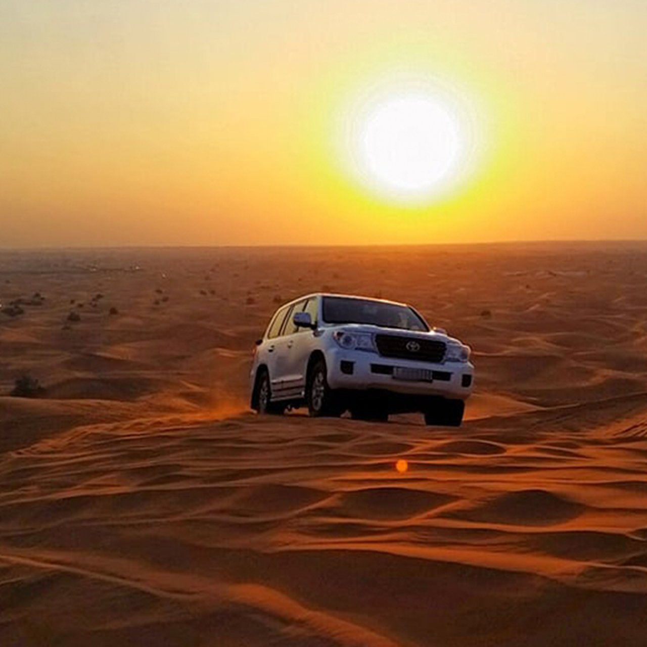 Morning desert safari dubai