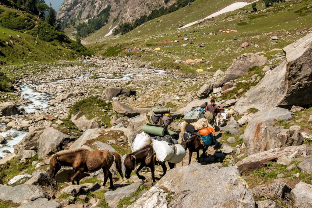 The Hampta Pass Trek: Let’s Start Adventure Journey Through the Himalayas
