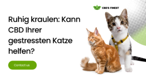 cbd für katze