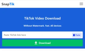 SnapTik – TikTok Video Downloader – Download TikTok Videos Without Watermark