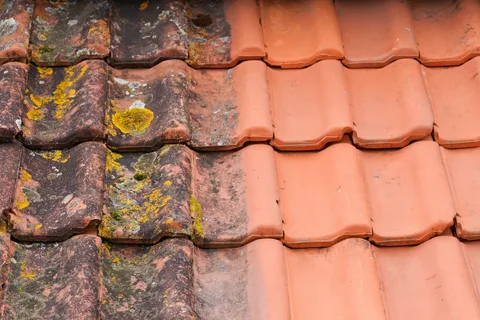 Best Practices for Clean Roofs in Rental Properties