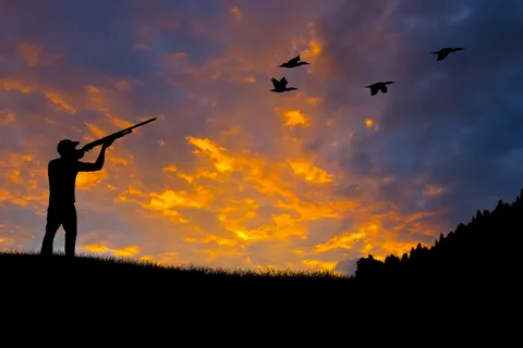 The Thrill of Hearing Gobblers at Dawn | Turkey & Dove Hunting Tips