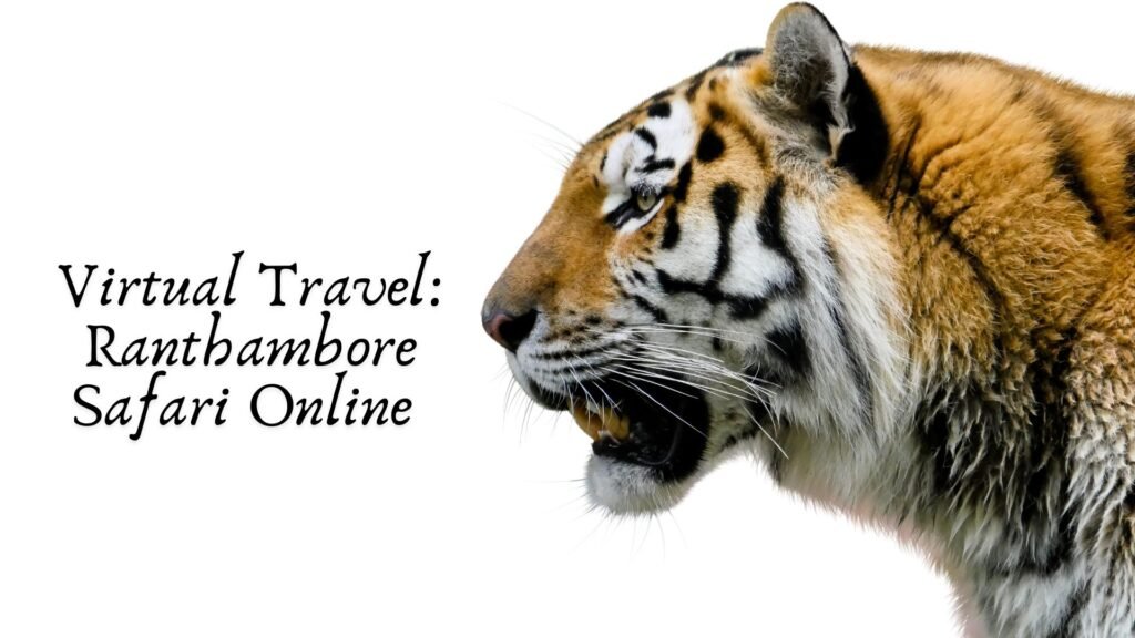 Ranthambore Safari