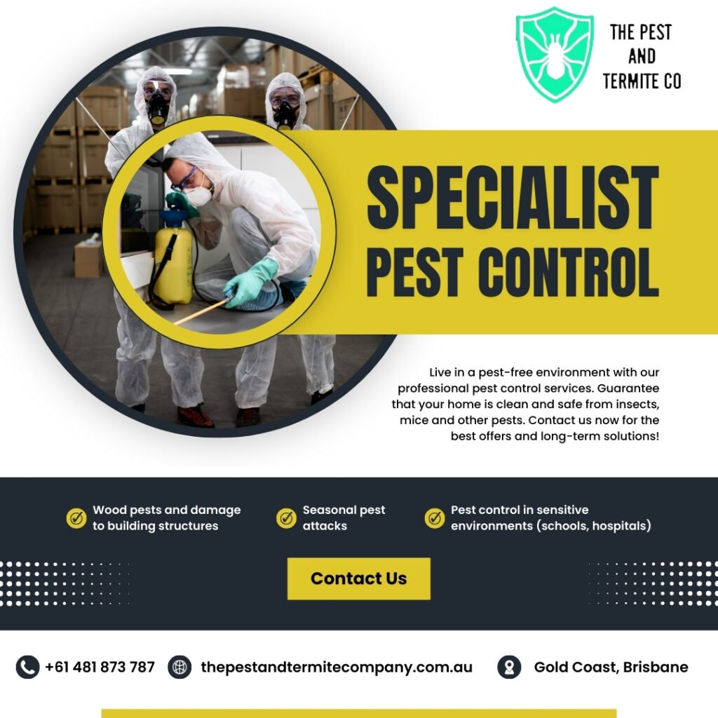 Termite Inspections