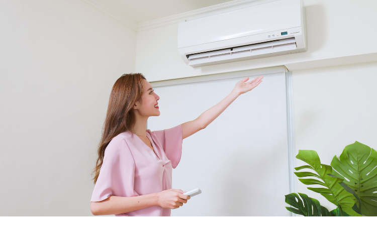 Asia Air Conditioner Market