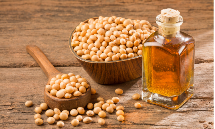 Soybean Oil Market