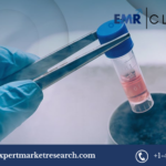 Stem Cell Market Growth: Trends, Insights, and Future Prospects 2032