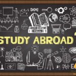 What Are The Pros And Cons Of Studying Abroad?