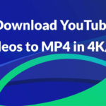 SSYoutube Download Your Favorite YouTube Videos Quickly and Easily