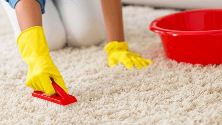 carpet cleaning services