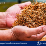 Australia Tobacco Market Report 2024-2032: Growth Trends, Challenges, and Emerging Alternatives