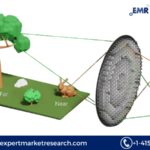 Light Field Market Analysis: Trends, Growth Forecast 2024-2032