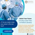 Explore 6 Career Paths for Medical Laboratory Technicians