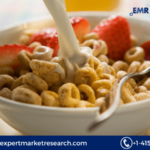 North America Breakfast Cereal Market Report 2024-2032: Trends, Growth, and Future Outlook