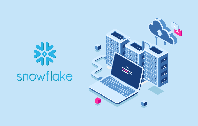 Snowflake Consulting Service