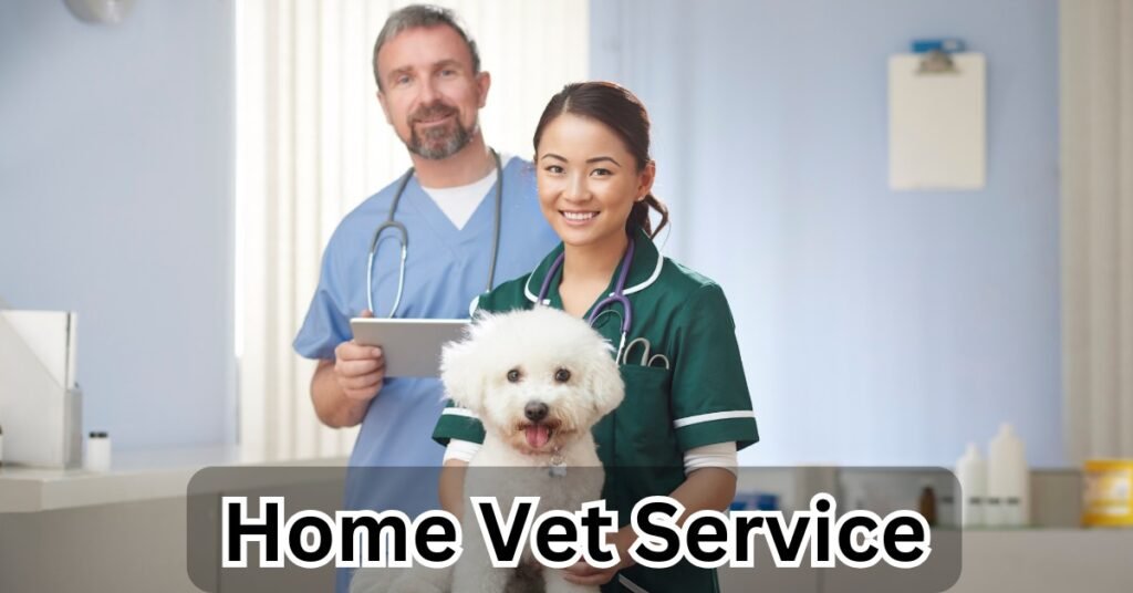 Home veterinarians service