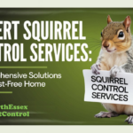 Expert Squirrel Control Services: Comprehensive Solutions for a Pest-Free Home