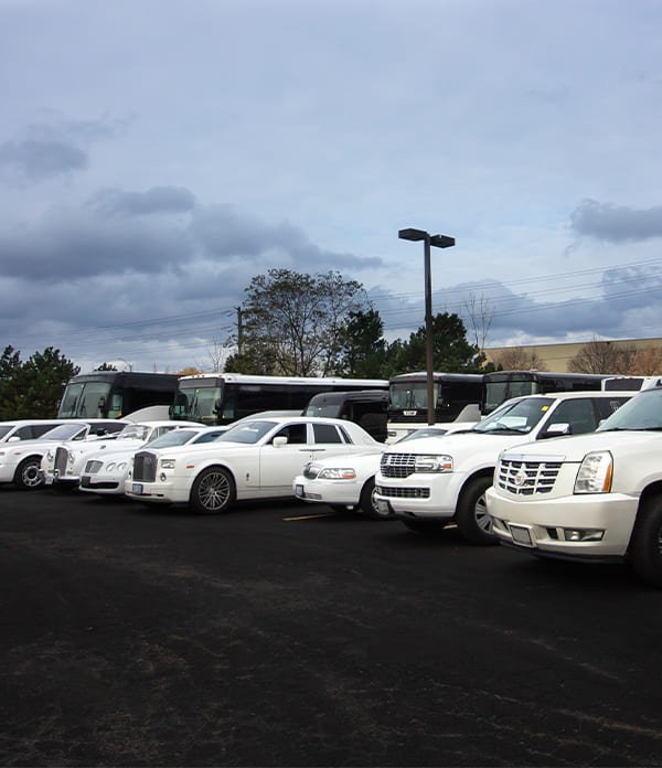 limousine and party bus rentals service