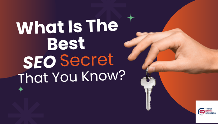 SEO Company in USA