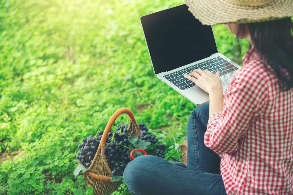 a girl sitting in a rural area and using laptop