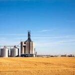 Canada Saskatchewan Grain Market Analysis And Growth Forecast 2024-2032