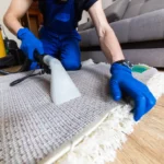 The Complete Guide to Carpet Cleaning Services