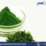 Kelp Extracts Market Forecast 2024-2032: Growth Drivers, Trends, and Opportunities