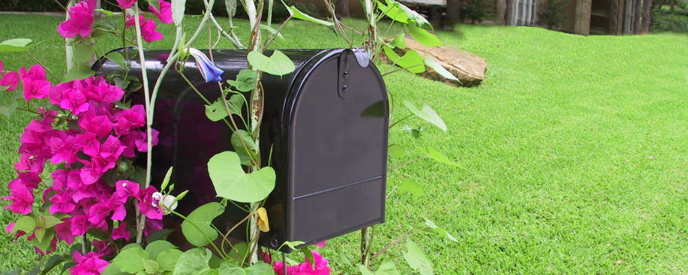 mailbox flower pot