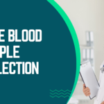 Home Blood Sample Collection: The Future of Health Testing