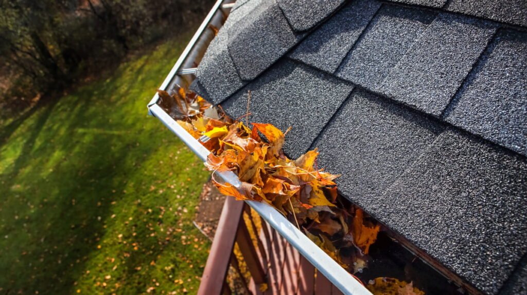 Roof Gutter Cleaning