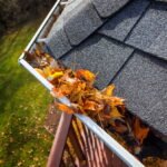 Essential Guide to Roof Gutter Cleaning in Perth: Protect Your Home All Year Round