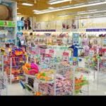 United States Toys Market Size And Forecast Report 2024-2032