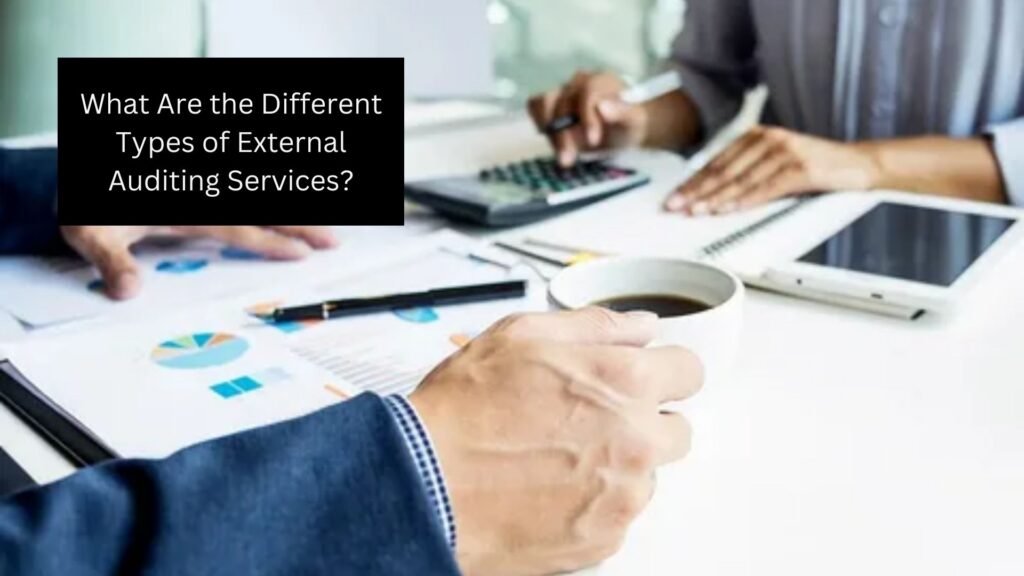 What Are the Different Types of External Auditing Services