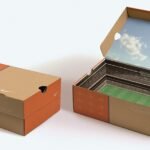 Shoe Box Dimensions for Different Sizes Based on Standard CM