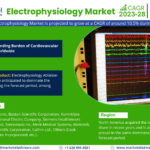 Global Electrophysiology Market Recent Trends, In-Depth Analysis, Industry Share, Size and Forecast 2023 To 2028