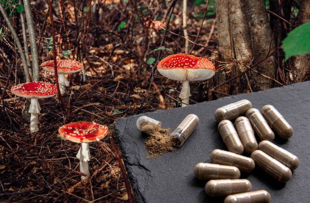 Amanita Supplement