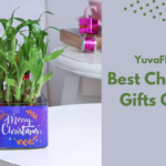 Best Christmas Gifts Online: Spread Holiday Cheer with YuvaFlowers