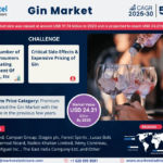 Gin Market Expanding at a CAGR of 5.2% during 2025-30