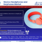 Mexico Headphones and Earphones Market Segmentation: Insight and Analysis 2024-2030