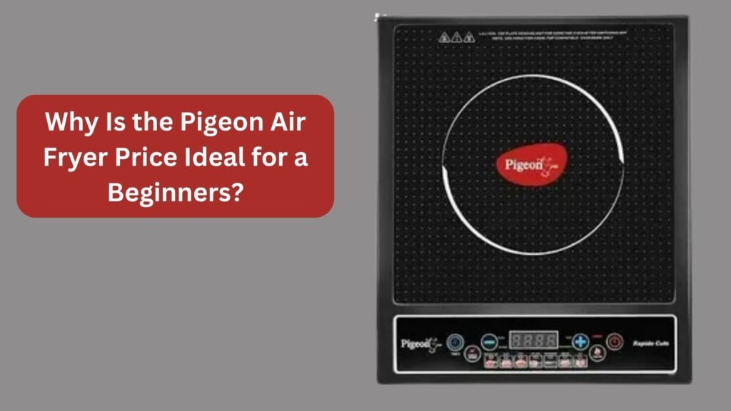 Why Is the Pigeon Air Fryer Price Ideal for a Beginners