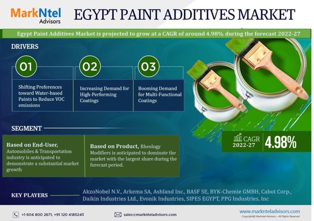 Egypt Paint Additives Market