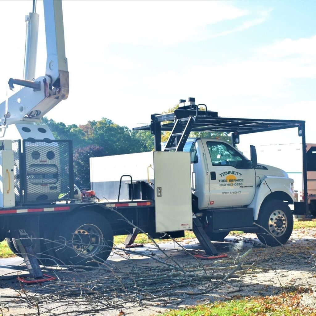 Tennett Tree Services Inc. is a premier tree care company dedicated to enhancing the health and beauty of your landscape.