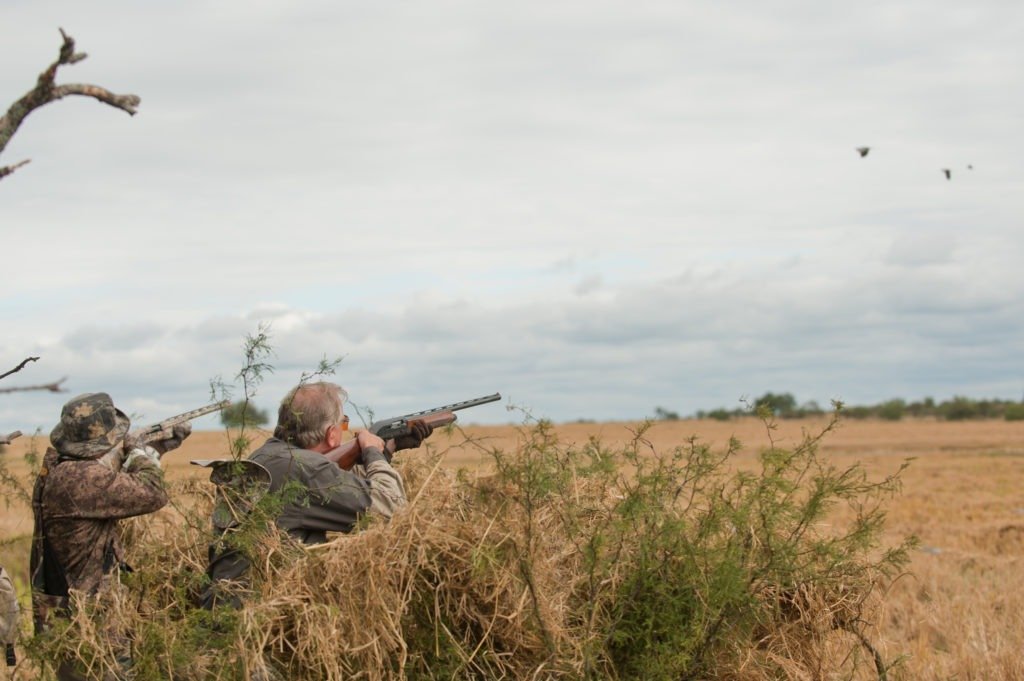 How to Set Up a Portable Ground Blind in Rugged Terrain