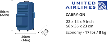 United Airlines Baggage Details